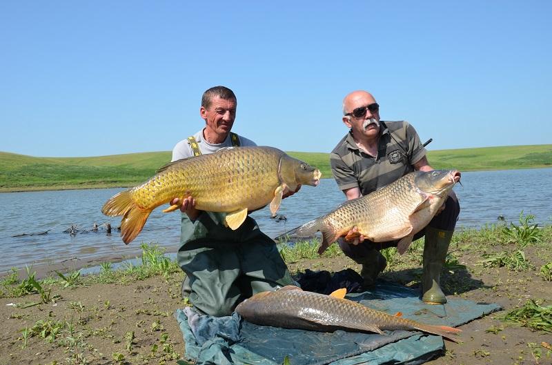 CUPA BECKER SARULESTI - pescuit-crap-sarulesti-16.JPG